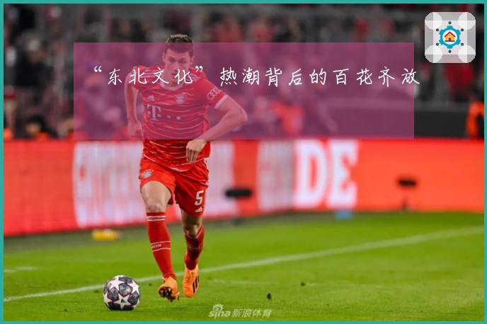 “东北文化”热潮背后的百花齐放